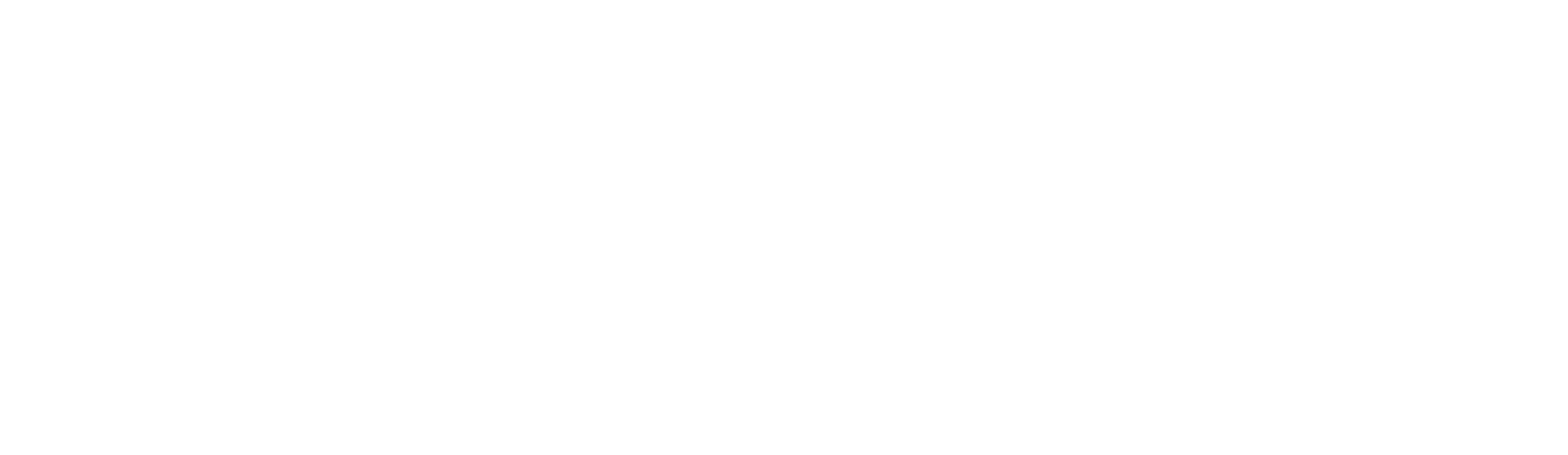 Ceramic Pro